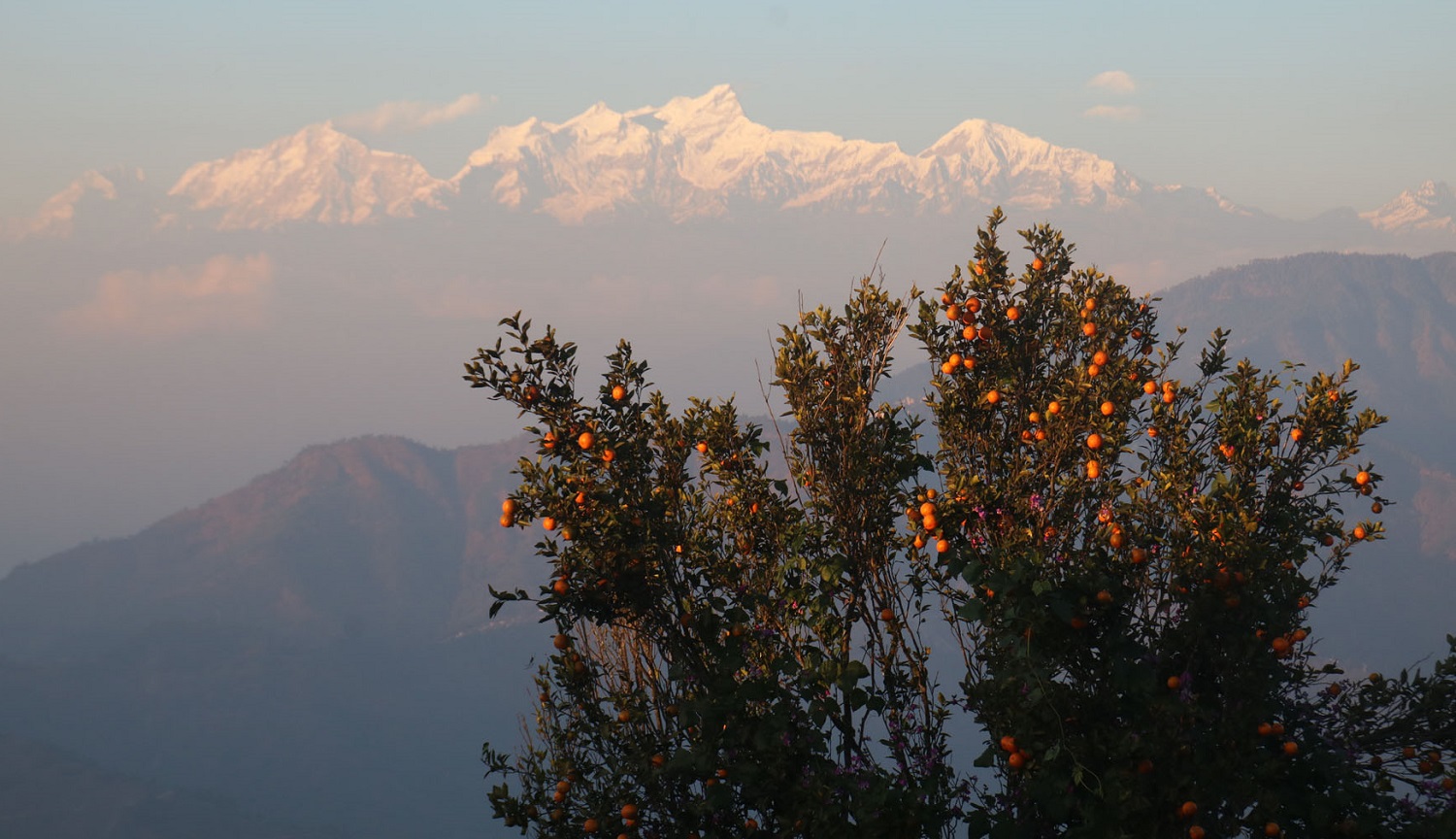 पर्यटकीय गन्तव्य बन्दै  पामडाँडा